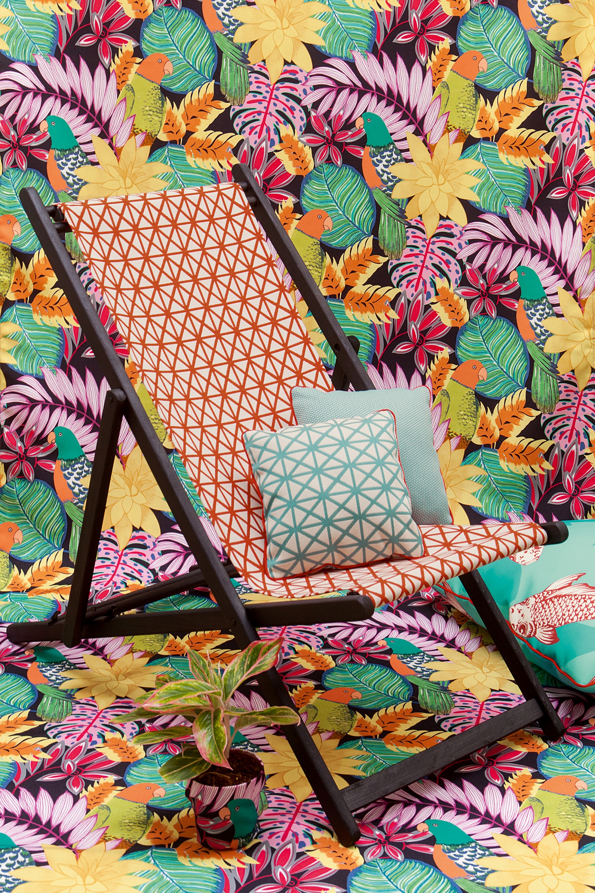 Home manuel canovas